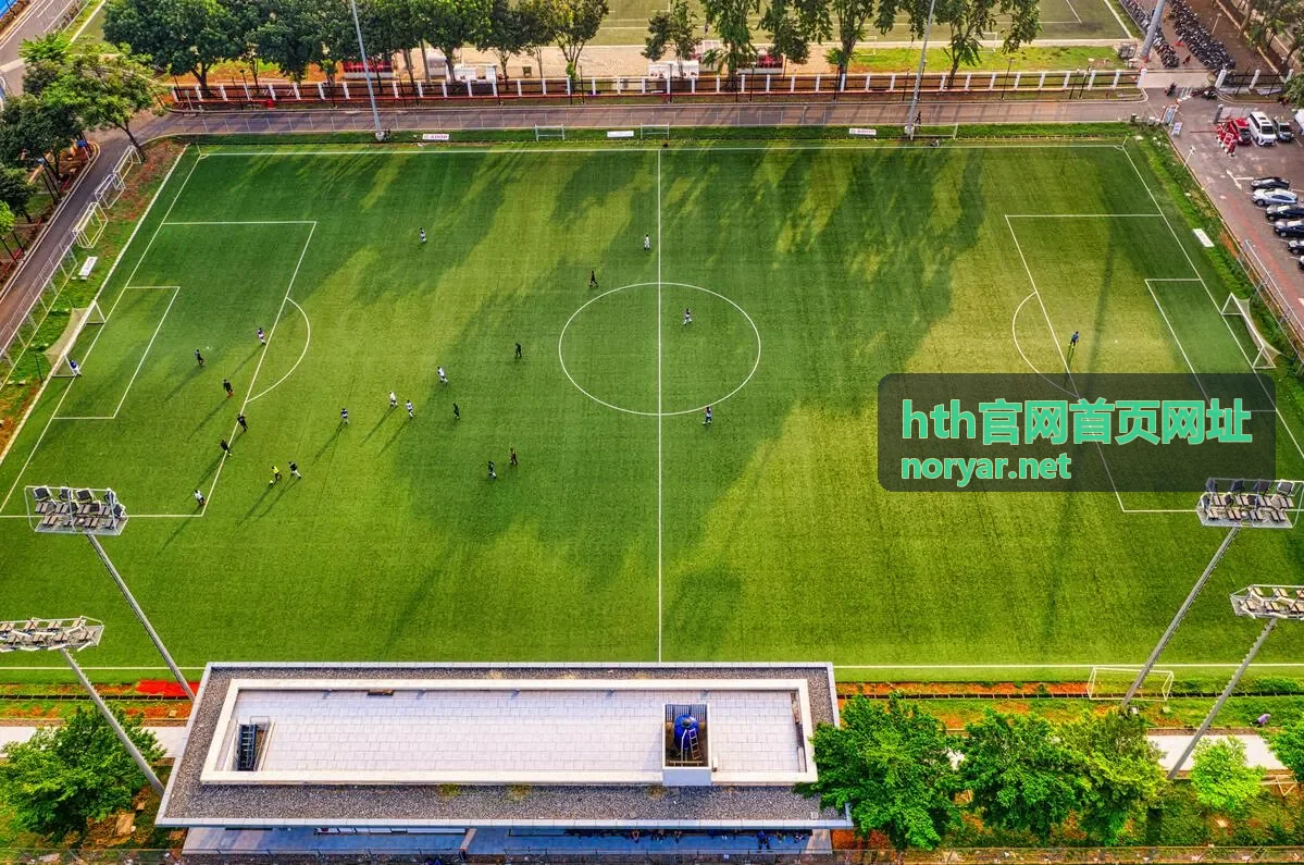 hth官网首页网址常见问题与留言支持说明配图